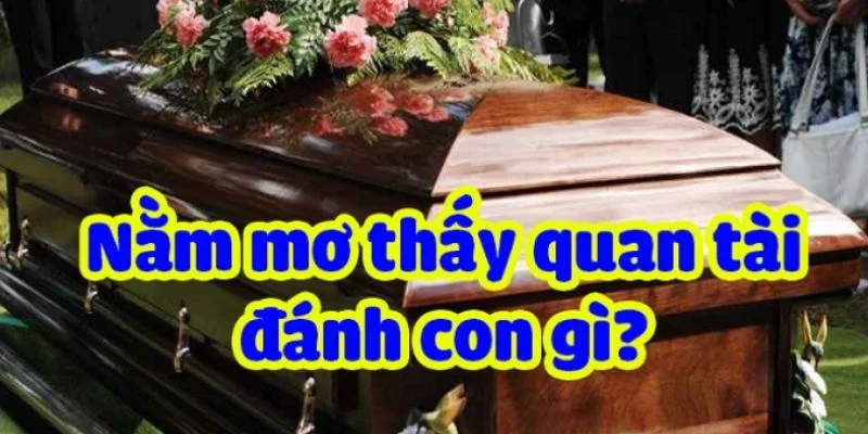 Các con đề may mắn gắn liền với từng chiêm bao cụ thể
