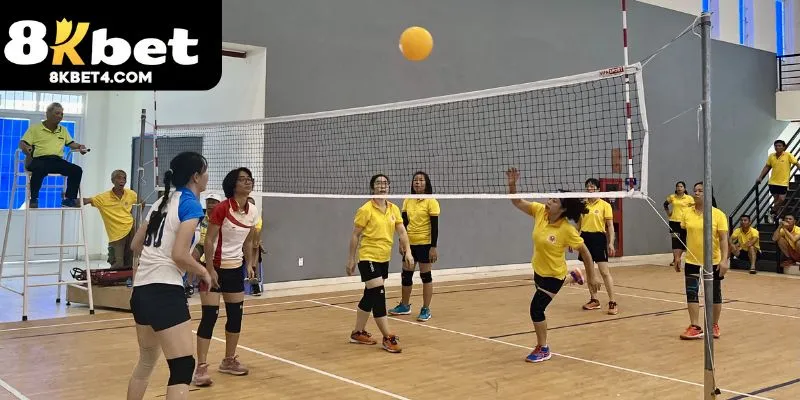 Vị trí đội bóng chuyền hơi