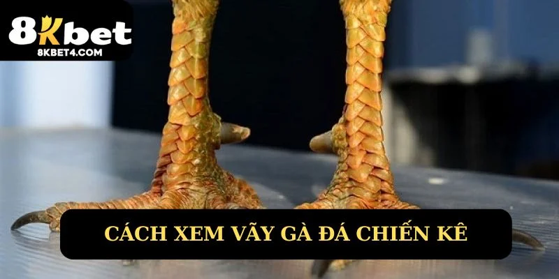 Chi tiết các loại vảy gà đá chiến kê